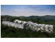 28 Mt Nebo Road, The Gap QLD 4061