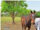 493 Payne Road, The Gap QLD 4061