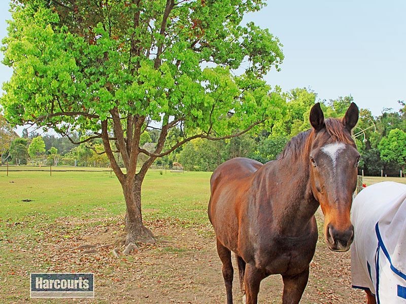 493 Payne Road, The Gap QLD 4061