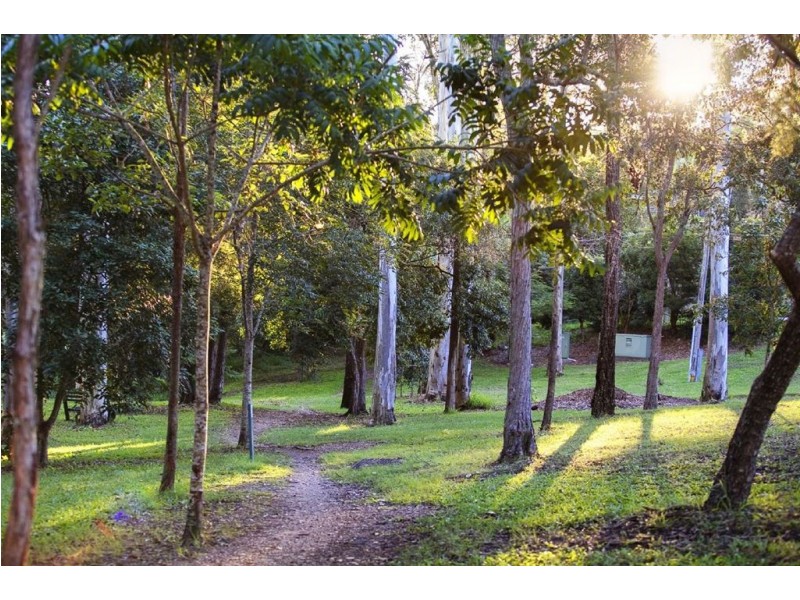 119 Royal Parade, Ashgrove QLD 4060