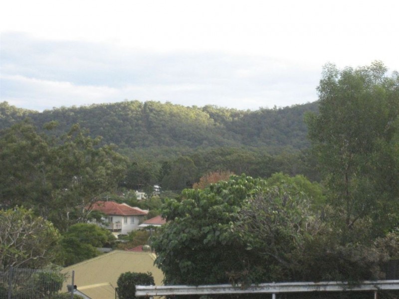 119 Wardell Street, Ashgrove QLD 4060