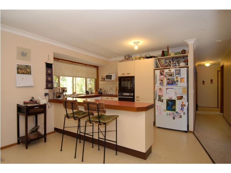 55 Petmar Street, The Gap QLD 4061