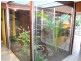 14 Barrabooka Drive, The Gap QLD 4061