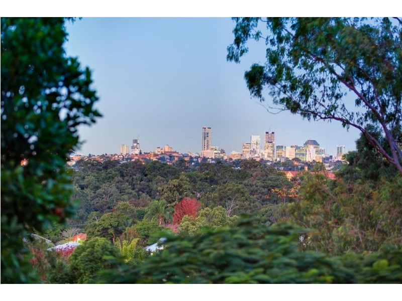 91 Buckingham Street, Ashgrove QLD 4060