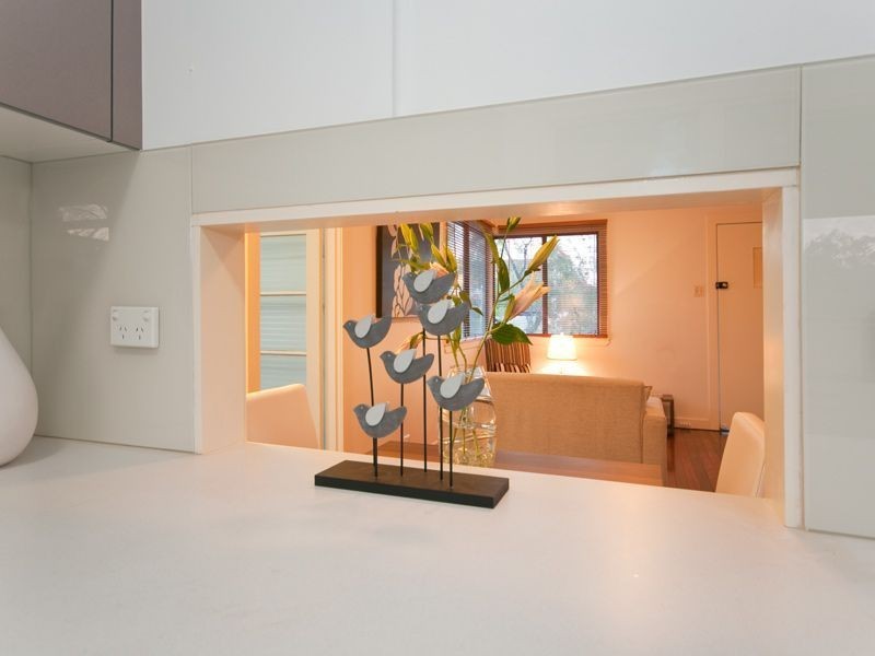 45 McIlwraith Street, Everton Park QLD 4053