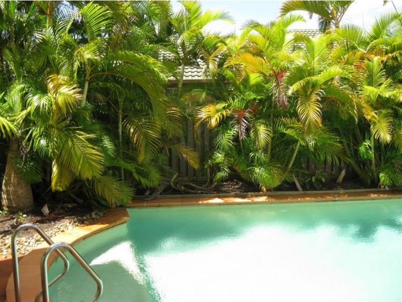 11 Redwood Place, The Gap QLD 4061