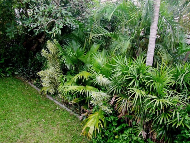 75 St Vincent Street, Ashgrove QLD 4060