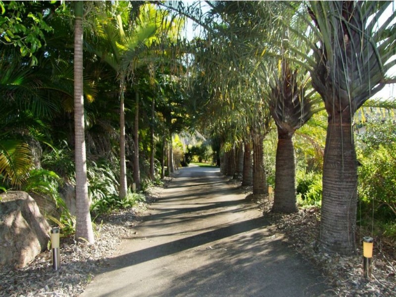 7 Phoenix Close, The Gap QLD 4061