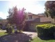 12 Montrose Place, The Gap QLD 4061
