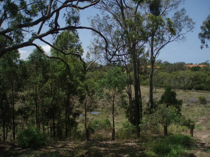 126 on SP14 6953 Rivermeadows Drive, Upper Coomera QLD 4209
