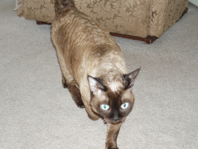 10/52 Margaret St, Southport QLD 4215