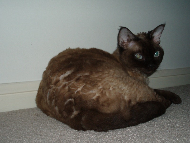 10/52 Margaret St, Southport QLD 4215