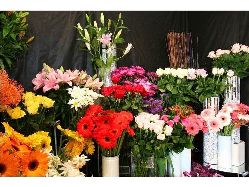 103/3 Sir John Overall Dr, Helensvale QLD 4212