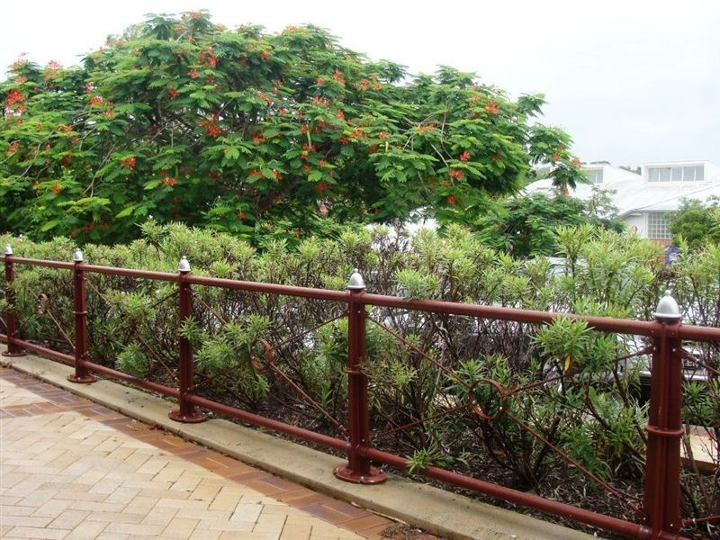 2/14 Lavelle St, Nerang QLD 4211