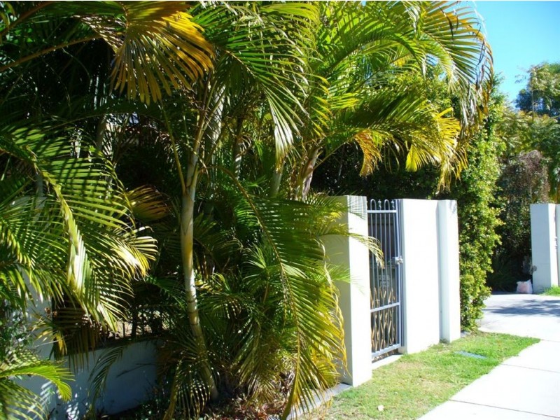 1/226 Queen Street, Southport QLD 4215