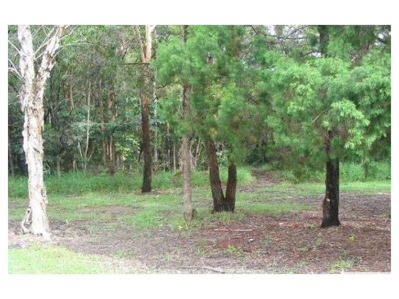 71 Ridgeway Avenue, Southport QLD 4215