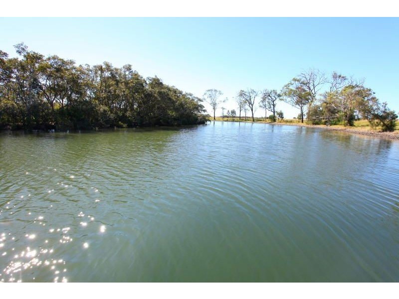 50 Serenity Blvd, Helensvale QLD 4212