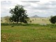 Mount Forbes QLD 4340