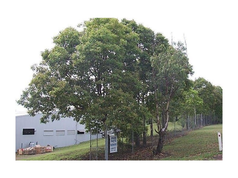 1 Carberry Street,, Ebbw Vale QLD 4304