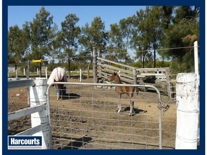 Rosewood QLD 4340