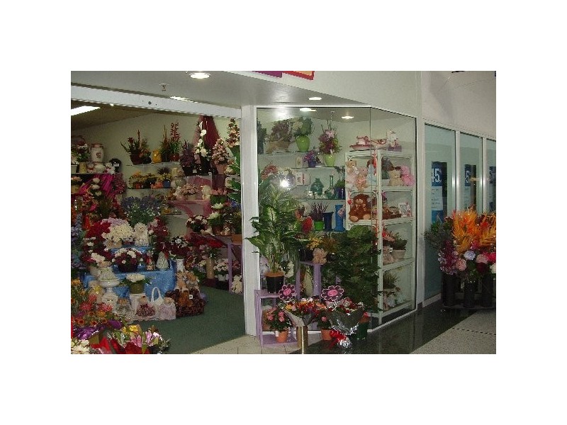 Flinders View QLD 4305
