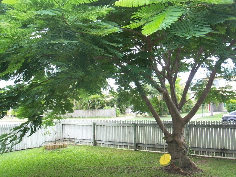 16 Champagne, Kelso QLD 4815