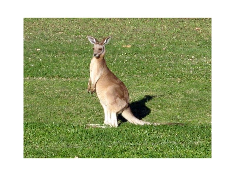 3/49 Quinn Street, Townsville QLD 4810