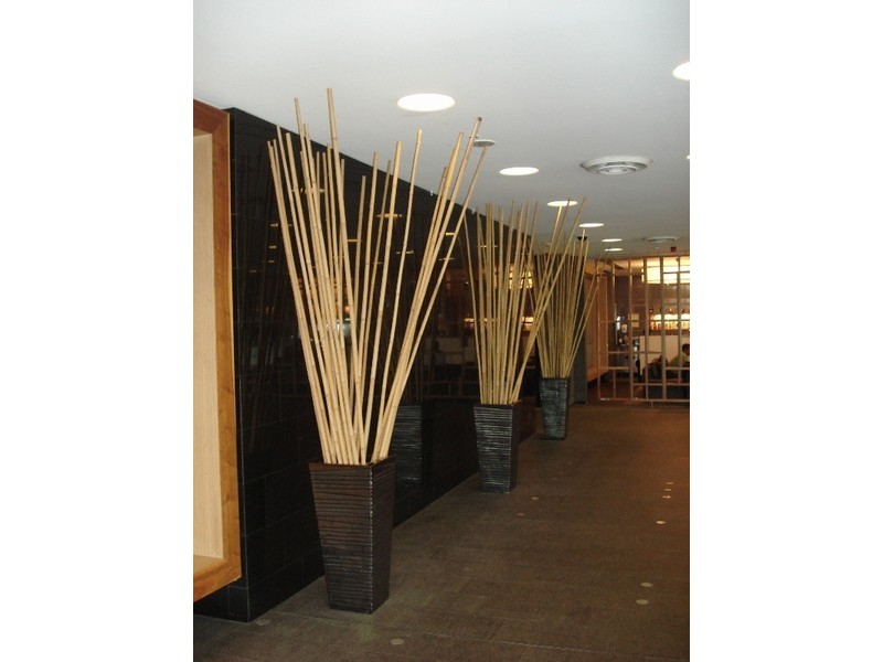 3 Sir Leslie Thiess Drive, Townsville City QLD 4810