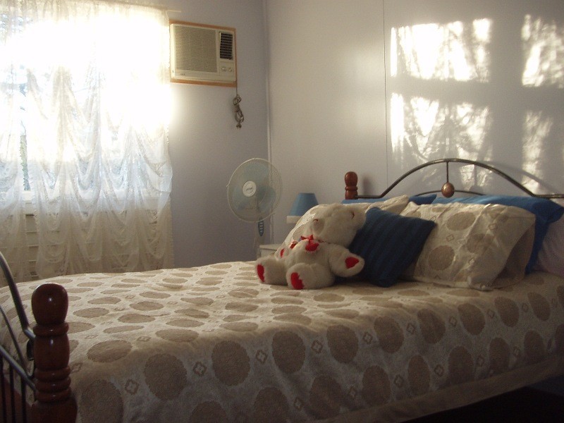 22 Wilkie Street, Heatley QLD 4814