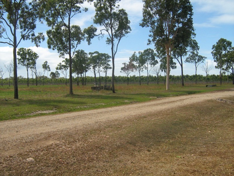 59 Balgal Beach Road, Balgal Beach QLD 4816