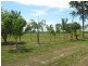 59 Balgal Beach Road, Balgal Beach QLD 4816