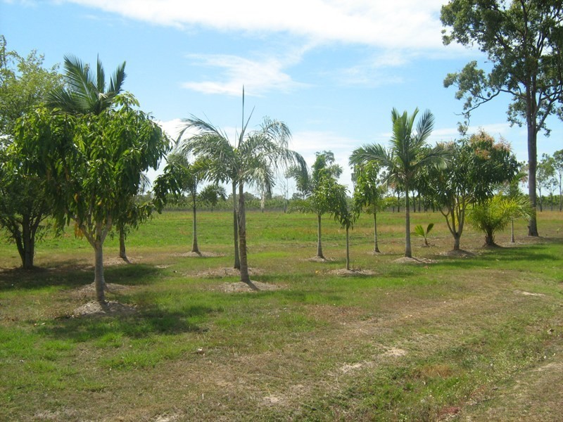 59 Balgal Beach Road, Balgal Beach QLD 4816