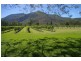 41 Haberecht Road, Majors Creek QLD 4816