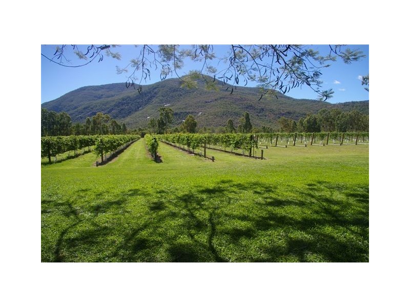 41 Haberecht Road, Majors Creek QLD 4816