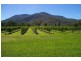 41 Haberecht Road, Majors Creek QLD 4816