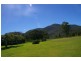 41 Haberecht Road, Majors Creek QLD 4816