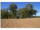 41 Haberecht Road, Majors Creek QLD 4816