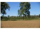 41 Haberecht Road, Majors Creek QLD 4816