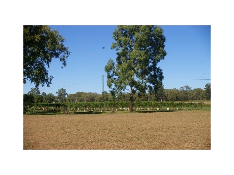 41 Haberecht Road, Majors Creek QLD 4816