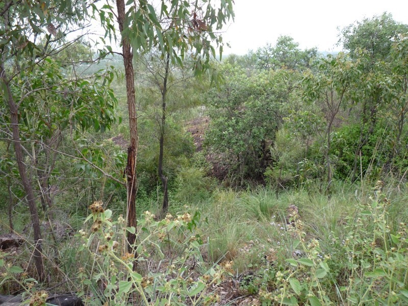 Jensen QLD 4818