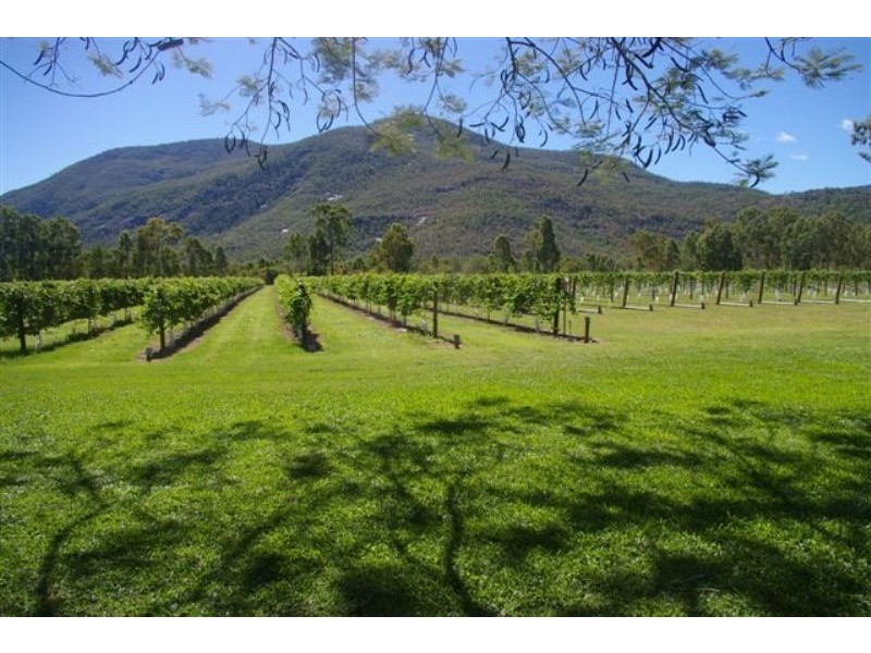 41 Haberecht Road, Majors Creek QLD 4816