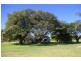 41 Haberecht Road, Majors Creek QLD 4816