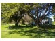 41 Haberecht Road, Majors Creek QLD 4816