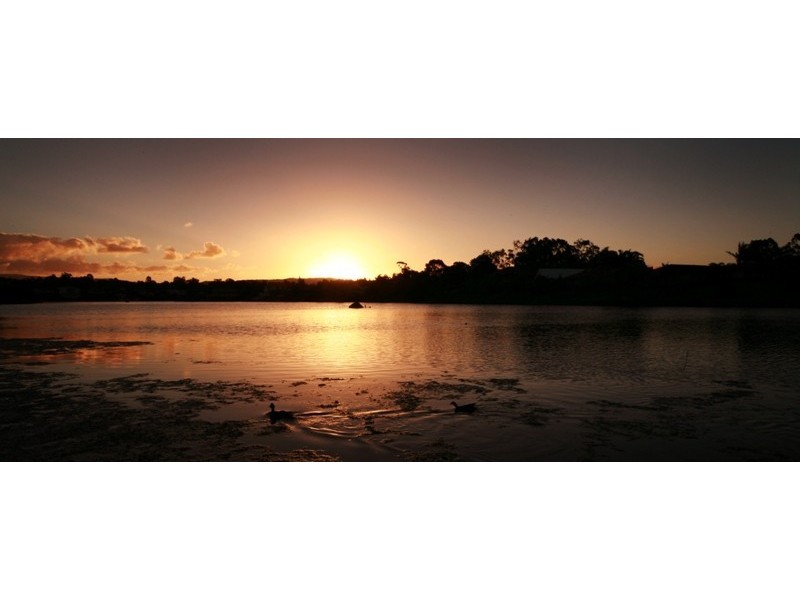 Robina QLD 4226