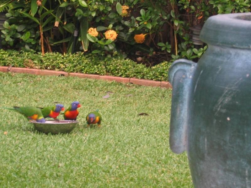 Burleigh Waters QLD 4220