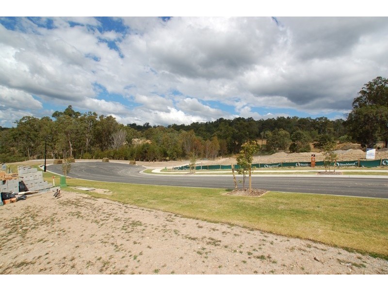 Reedy Creek QLD 4227