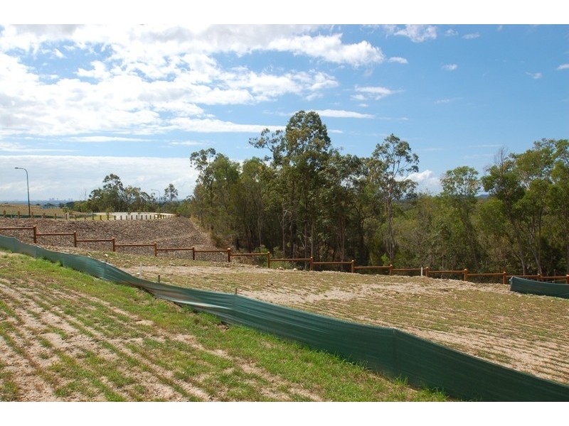 Reedy Creek QLD 4227