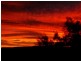 Robina QLD 4226