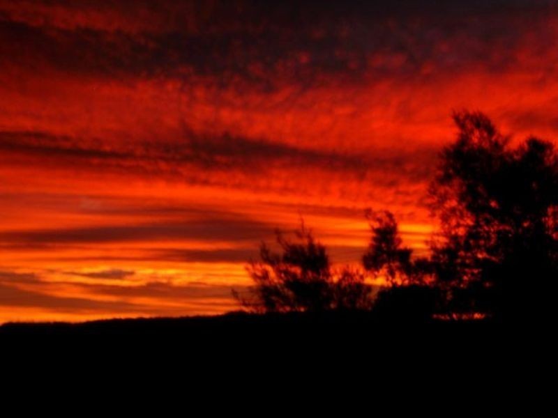 Robina QLD 4226