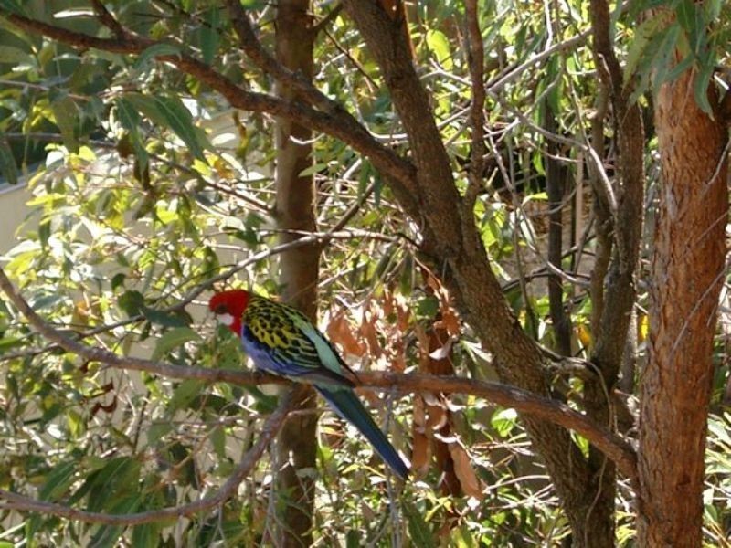 Robina QLD 4226